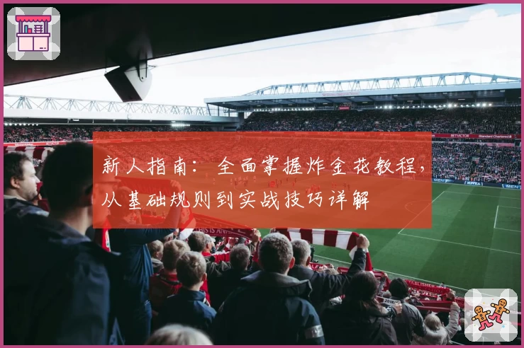 新人指南:全面掌握炸金花教程,从基础规则到实战技巧详解