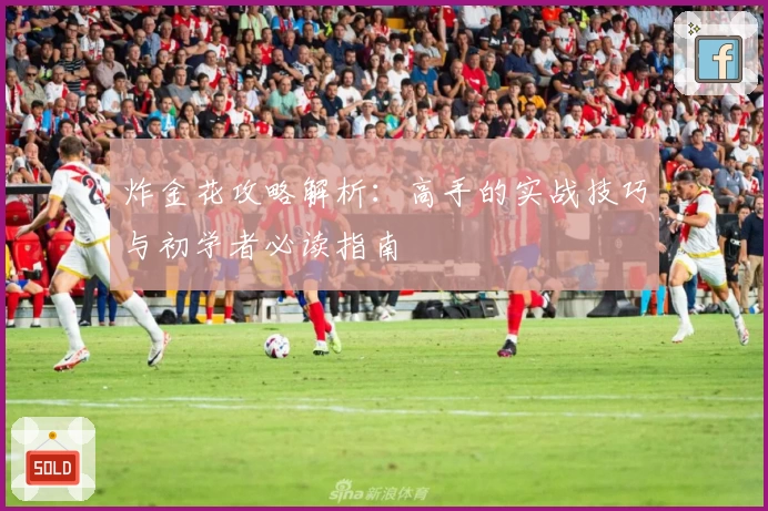 炸金花攻略解析：高手的实战技巧与初学者必读指南