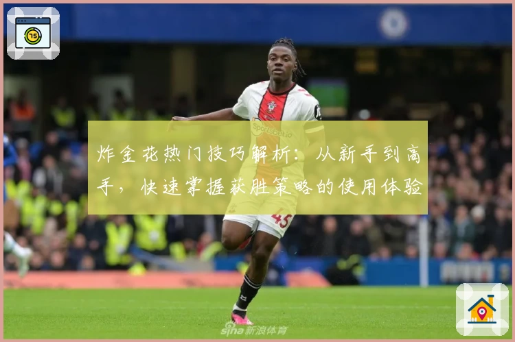 炸金花热门技巧解析：从新手到高手，快速掌握获胜策略的使用体验