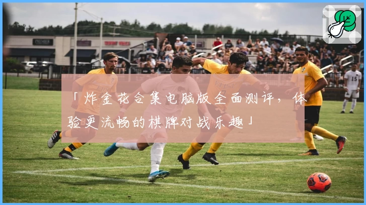 「炸金花合集电脑版全面测评，体验更流畅的棋牌对战乐趣」