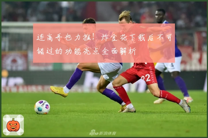 连高手也力推！炸金花下载后不可错过的功能亮点全面解析