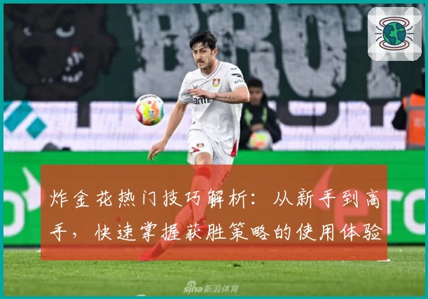 炸金花热门技巧解析：从新手到高手，快速掌握获胜策略的使用体验