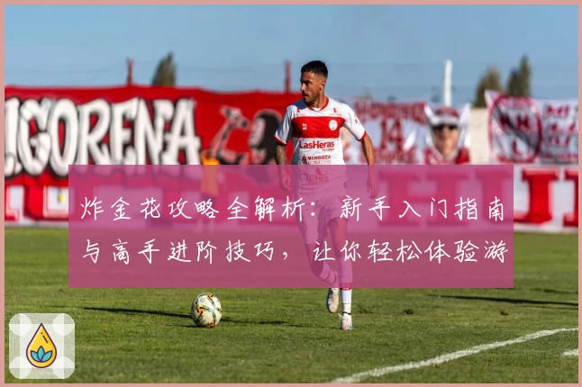 炸金花攻略全解析：新手入门指南与高手进阶技巧，让你轻松体验游戏乐趣