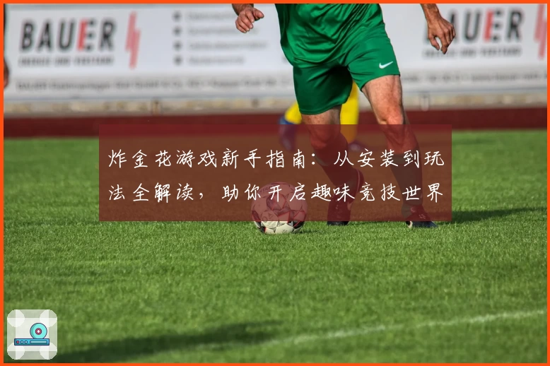 炸金花游戏新手指南：从安装到玩法全解读，助你开启趣味竞技世界